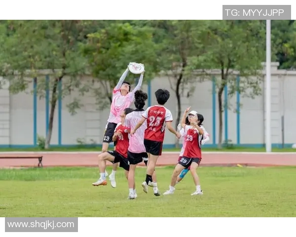 广州飞盘队中路突破新战术解析助力球队崛起与发展