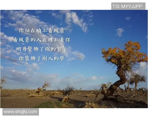 王芳专访：从初学者到攀岩高手的心路历程与成长故事